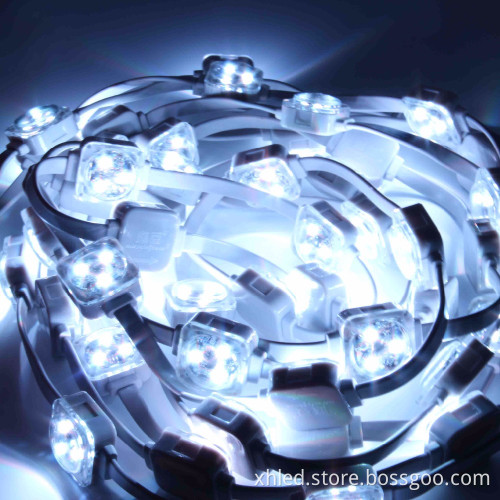 30000hrs Lifespan Full Color IP67 25mm SMD5050 0.75W DC12V Waterproof RGB Led Pixel Light String